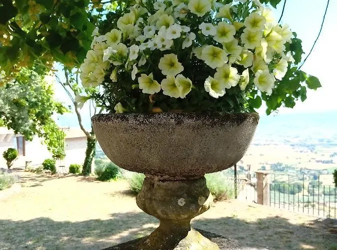 Residenza Messer Pajola * Assisi